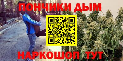 стаф Гусев