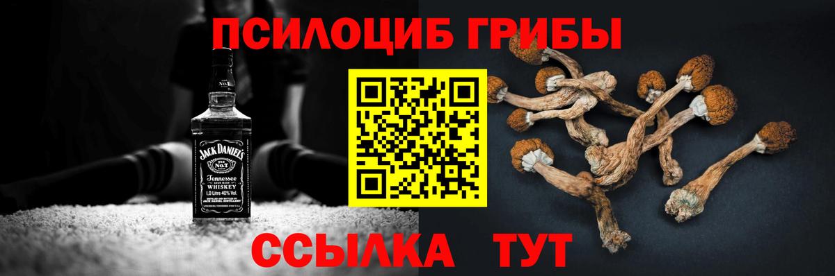 Людиново  Псилоцибиновые грибы ЛСД  Вход с VPN 
